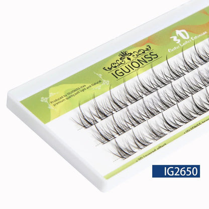 Lash Clusters – DIY Eyelash Extensions | 36 Clusters, C & D Curl