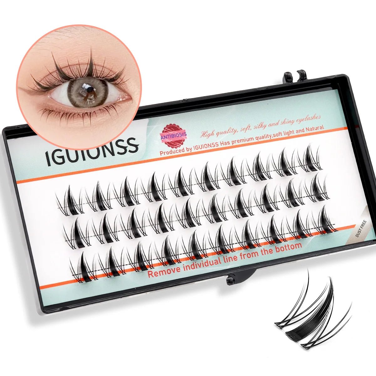 Lash Clusters – DIY Eyelash Extensions | 36 Clusters, C & D Curl